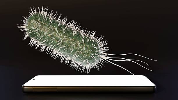 A rod-shaped bacteria is emerging from smartphone.