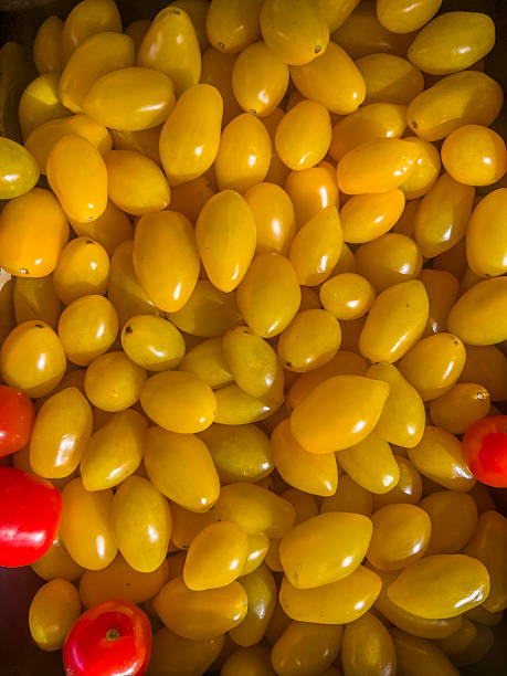 Organically grown, yellow color, tiny cherry tomatoes with great taste. Ideal for background usage.