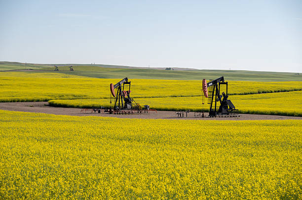 istock Oil being pumped in a rural field 2231398778