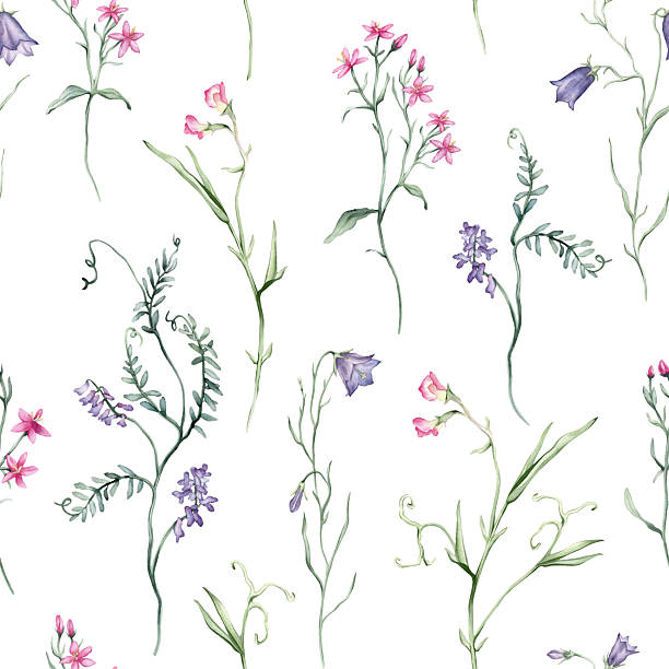 istock Watercolor seamless pattern white background - illustration with green leaves, pink blue purple buds and branches. Wildfield herbs flowers. Wedding invites, fashion, prints, backgrounds. Wildflowers 2231400028