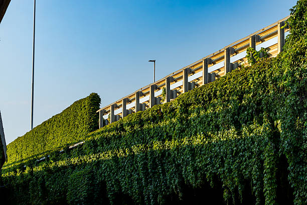 istock Cagliari, Sardinia, Italy 2231400687