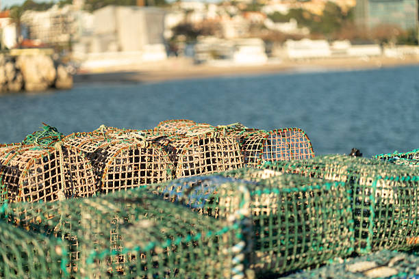 istock Crab Traps Stacked by the Waterfront Ready for Fishing at Sunset 2231401414