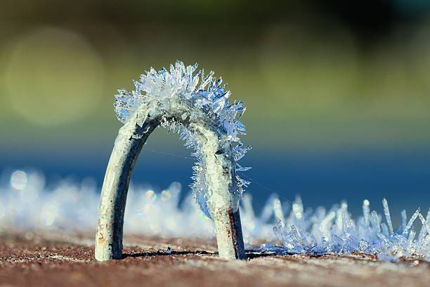 Close up of a fences wire staple with spikes of a cold moning forst.