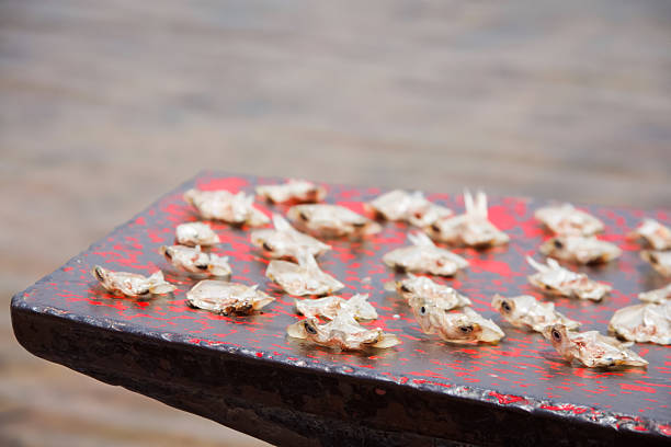 Small fish dried on the boat.