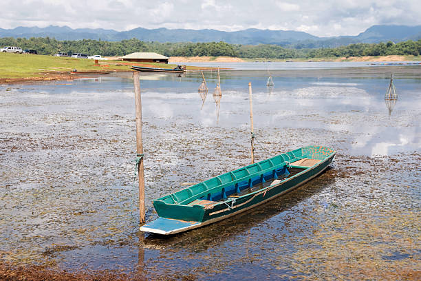 Long tail boat parked on the banks of the river