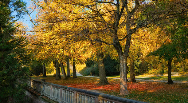 istock Sunny autumn day in an idyllic urban park 2231429282