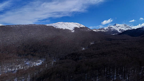 istock Snow-capped mountains rise majestically over a serene forest valley beneath a bright blue sky in wintertime 2231429500