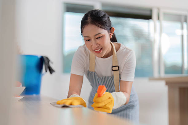 istock Home Cleaning. Happy woman wiping a surface with a cloth in a clean kitchen. 2231431994