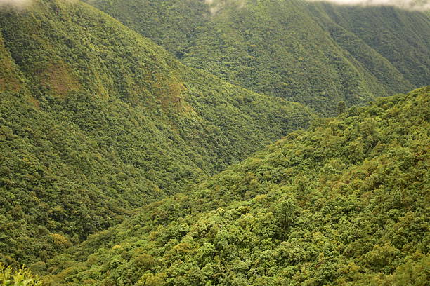 istock The Mawkdok Dympep valley view point in Meghalaya, India 2231432969