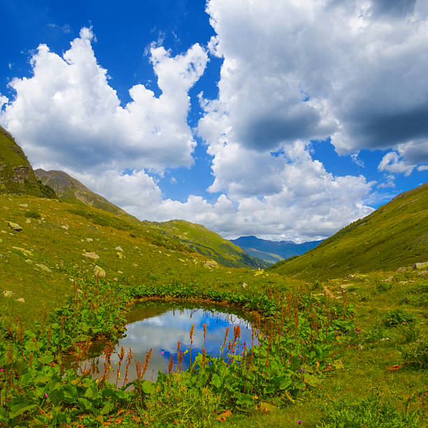 small blue lake among green summer mountain valley
