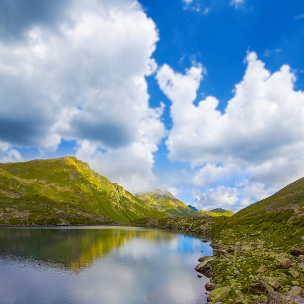 small blue lake among green summer mountain valley