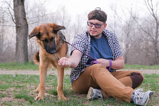Pet training, pet psychologist. Man teaching a dog to sit, giving a treat from hand