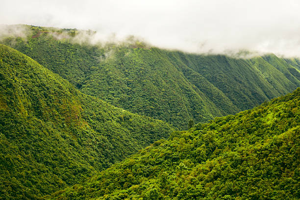 istock The Mawkdok Dympep valley view point in Meghalaya, India 2231439812