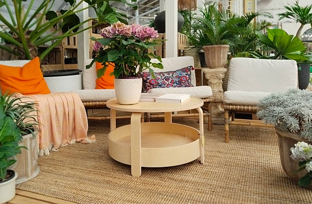 istock Serene Indoor Garden Oasis 2231444689