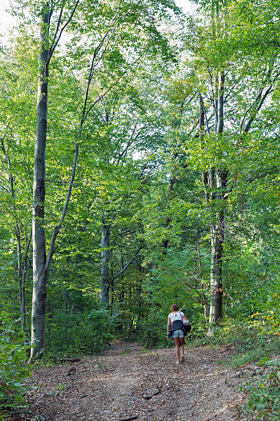 istock Hiking in Carpathian mountains forest 2231448193
