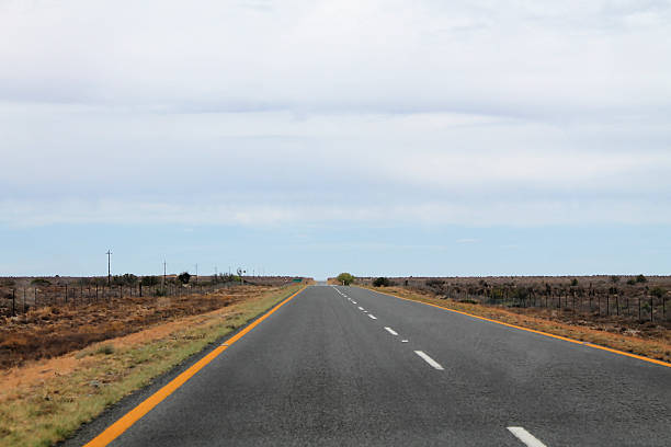 Straight empty asphalt road stretching to horizon through rural countryside with power lines, yellow center markings, and cloudy overcast sky
