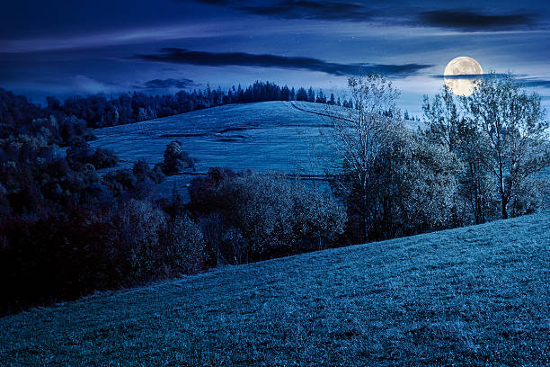 istock mountain landscape with forest in autumn at night 2231452494