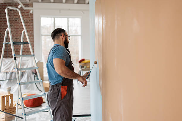istock Transforming Home Walls with Fresh Paint 2231458222