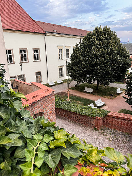 istock Historic Courtyard with Benches and Trees 2231462408