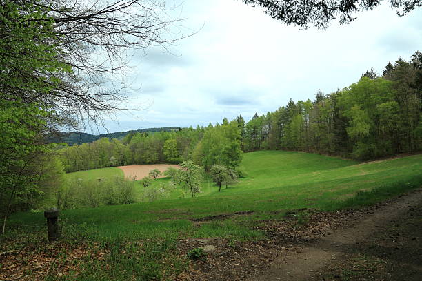 istock Rolling meadow orchard adjoining dense woodland edge 2231464474