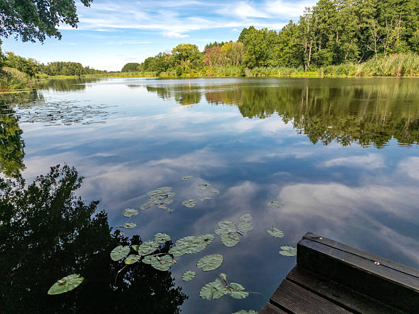 istock Beautiful nature, clean water, blue sky, rustling forest around the lake 2231466997