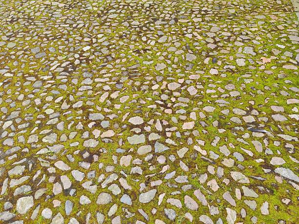 This image features a close-up view of a cobblestone path composed of irregularly shaped natural stones. The stones are embedded in the earth and interspersed with vibrant green moss, which fills the gaps and outlines each stone. The stones vary in texture, size, and color, ranging from pale gray to deep charcoal, with some showing signs of erosion and age. The moss appears lush and dense, enhancing the organic contrast between the hard surfaces and soft greenery. The composition emphasizes the tactile quality and natural arrangement of the materials