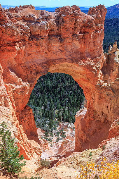 istock Natural Bridge in Bryce Canyon National Park, Utah 2231469660