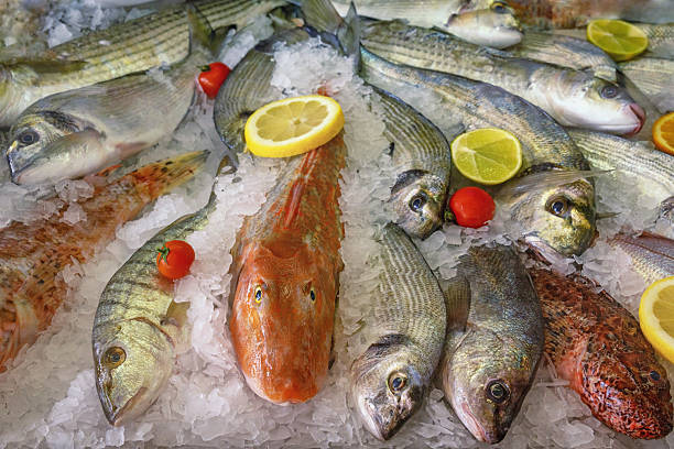 istock Mediterranean seafood. Different fresh raw fishes on ice 2231469964