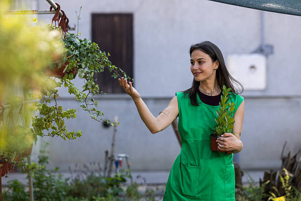 A smiling woman wipes a large green houseplant using a bright towel in a clean bathroom, conveying home care, indoor gardening, and fresh, healthy living.