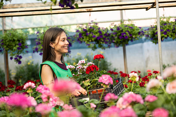 istock Florist In Greenhouse 2231473346