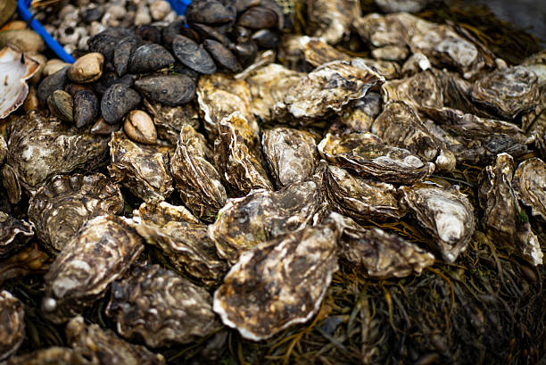 istock The Atlantic coast of Ireland 2231477248