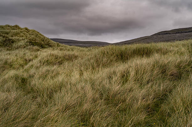 istock The Atlantic coast of Ireland 2231477576