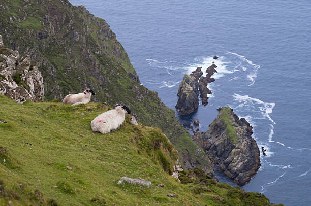 istock The Atlantic coast of Ireland 2231477640