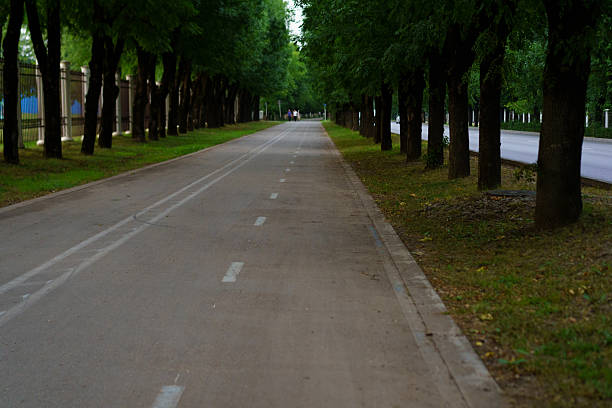 A tranquil path runs through a well-maintained urban park, shaded by lush green trees on both sides. People can be seen strolling leisurely, enjoying the cloudy ambiance.
