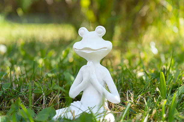 Yoga frog in the garden