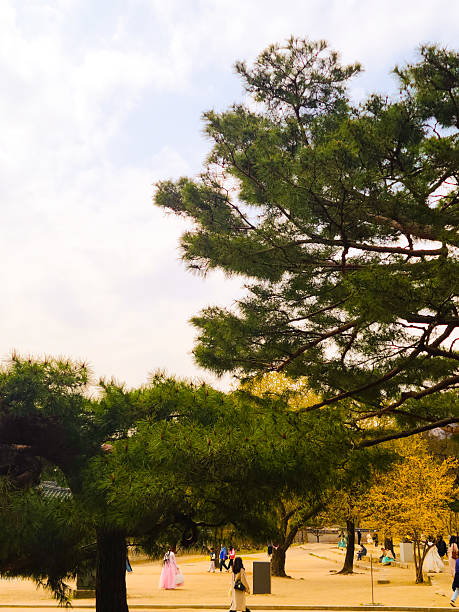 Seoul, South Korea - March 30, 2024: Gyeongbokgung Palace, courtyard. High quality photo