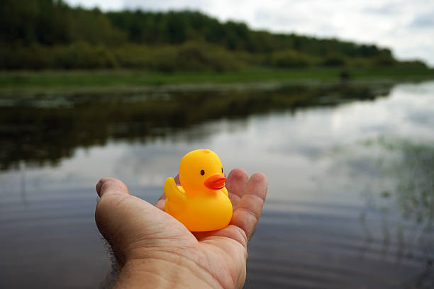 istock Hand holding yellow rubber duck by the river 2231489991