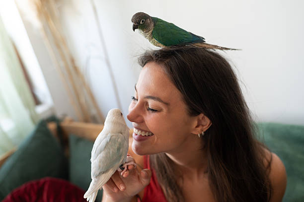 istock Happy young woman playing with her parakeets at home 2231496287