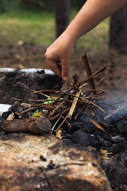 istock Close-Up of Campfire with Man's Hand Adding Firewood 2231497203