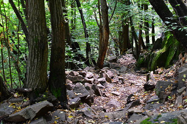 Ein Wanderweg bei Eppan in Südtirol