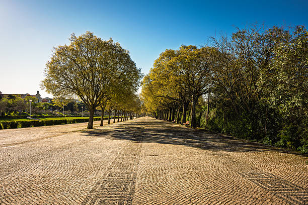 Photo of a wide paved scenic walking path to a park in central Lisbon.