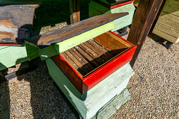 Open traditional-style beehive with visible frames inside, placed on gravel ground under a wooden shelter.