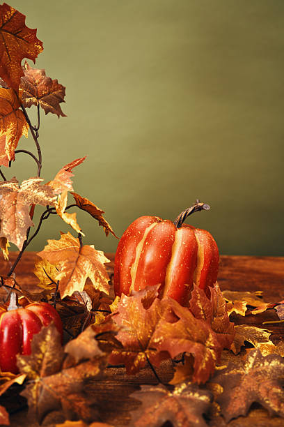 Autumn Decoration with Leafs and Pumpkins on Rustic Background