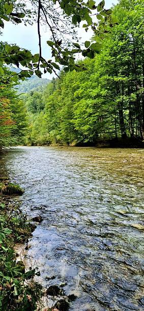 istock river Traun in Bavaria- Ruhpolding 2231501145