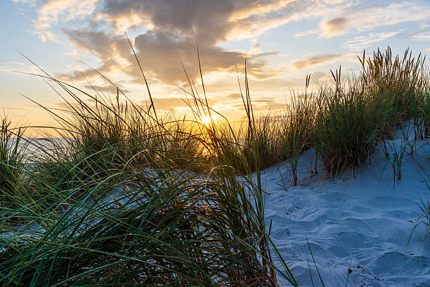 istock Beautiful sunset behind a grass-covered dune 2231502368