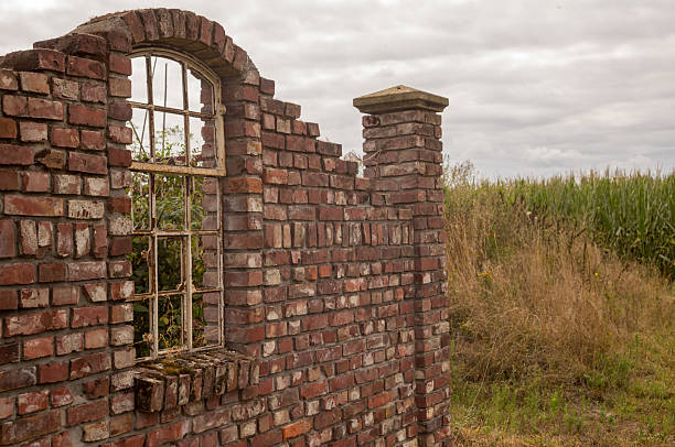 istock Crumbling brick wall with broken window and cornfield in background 2231504873