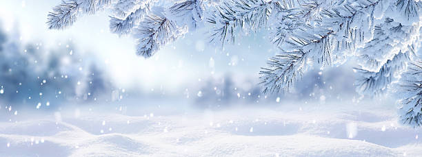 istock Beautiful wide format background image with snowdrifts and snowfall. 2231506994