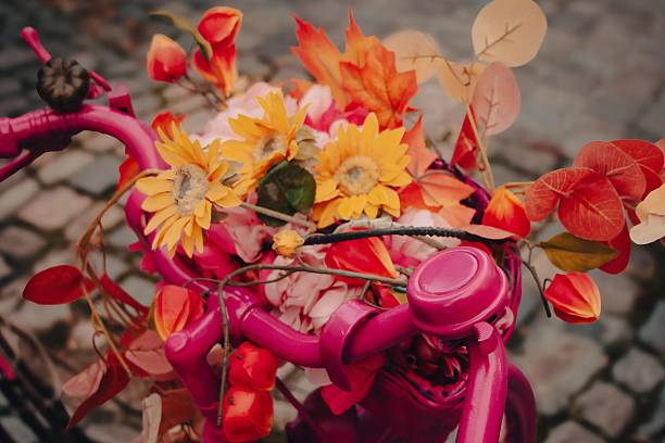Bright autumn leaves and vibrant flowers decorate a pink bike, creating a festive and colorful display over a stone-paved background.
