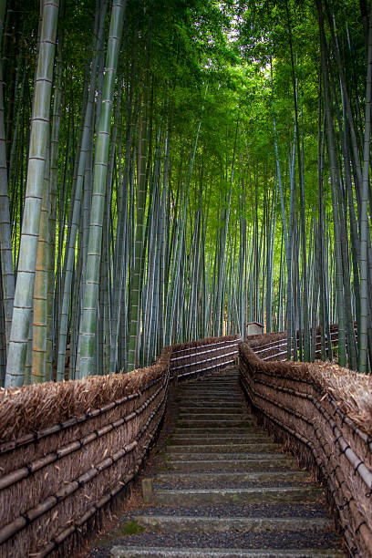 istock Path through bamboo forest close to Adashino Nenbutsuji 2231512208