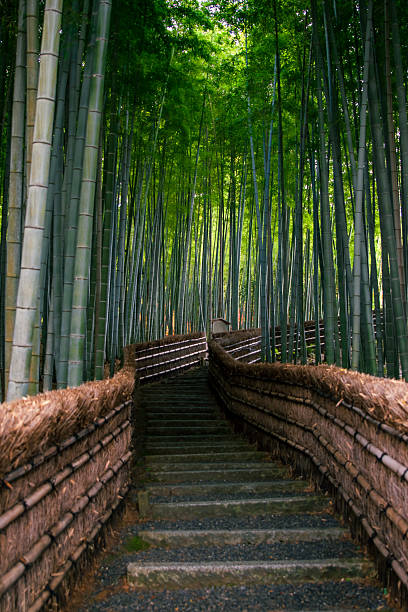 istock Bamboo forest path near Adashino Nenbutsuji Temple 2231512286